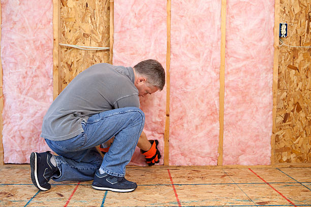 Best Specialized Insulation Services in Sanger, TX